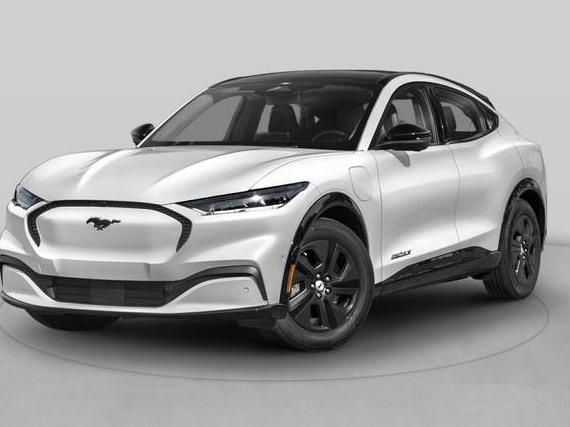 FORD MUSTANG MACH-E 2024 3FMTK3R49RMA41098 image